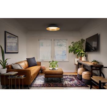  Alva 505 36W/830 DIM BK/WOOD 