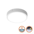  Hublot BLKH RD 300 17W MS WT 