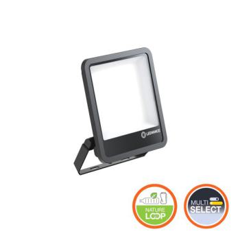  FL250 167W/840 SY100 ML IP66BK 