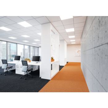  PANEL ECO 600 36W/6500K 