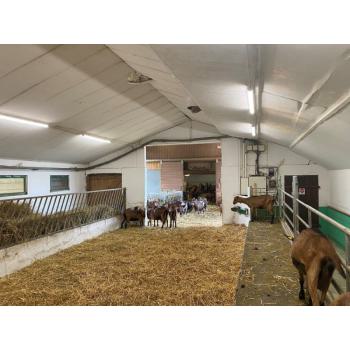  Etanche SPE 1500 50W/840 IP67 