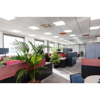  PL 1200 D/I ZBVR UGR19 36W/840 