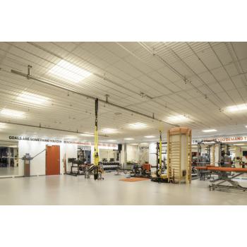  PL BIOLUX HCL 625 DALI TW 41W 