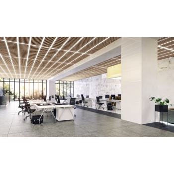  LS PFM-2000/865/5 10X1 