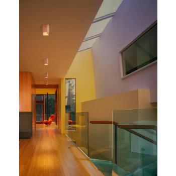  WIFI DECOR SWAN PLAF TW WD 