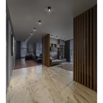  DL SF DN90 15W/830 36� IP65 BK 