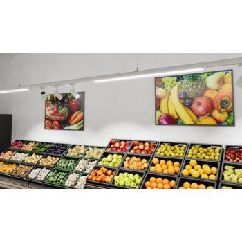  TRUSYS FLEX 70W/840 W OPAL 