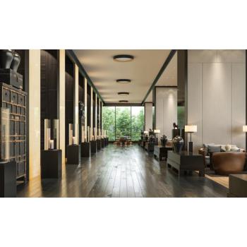  SURFACE CIRCULAR 500 Frame 