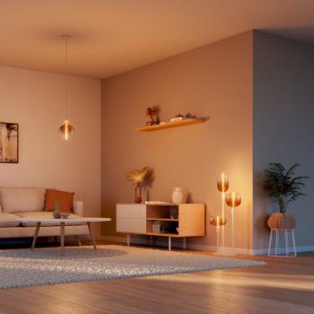  LED 1906MAG ELI OV T BRUN E27 