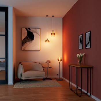  LED 1906MAG OV  Fum� E27 