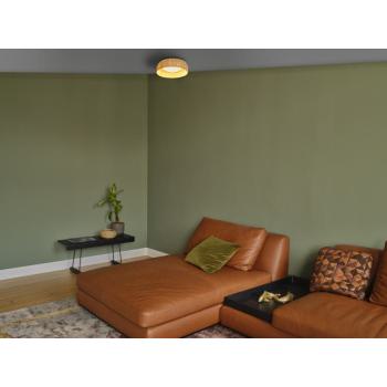  DECOR Bamboo paper Hut 12W/830 