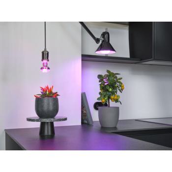  LED OSR Plantes 20W E27 