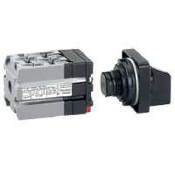  COMMUT A CAME 10A INTER 2P 