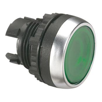  ACS TETE P-POUS AFF VERT LU 