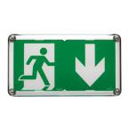  BAES EVAC IP66 SATI CONNECTE 