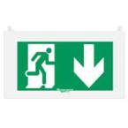  PLAQUE ARCOR  SORT.FLECHE BAS 