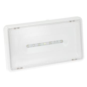  LSC AMB LEDS IP43 24VDC 