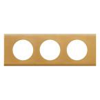  PLAQUE 3P BRONZE DORE 