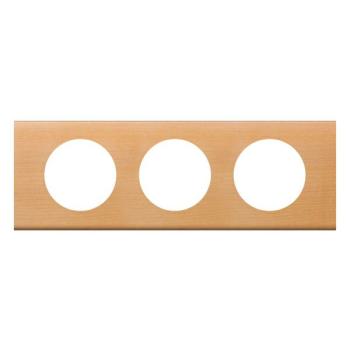  PLAQUE 3P  ERABLE 
