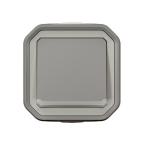  VV 10AX TEMOIN GRIS SAILLIE 