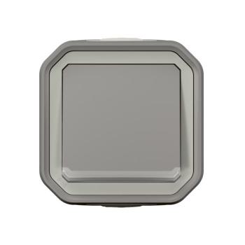  VV 10AX TEMOIN GRIS SAILLIE 