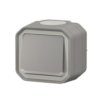  VV 10AX TEMOIN GRIS SAILLIE 