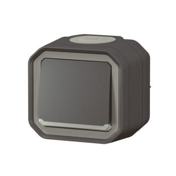  VV 10AX TEMOIN ANTH SAILLIE 