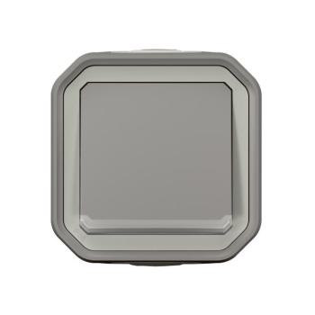  POUSSOIR NO LUM GRIS SAILLIE 