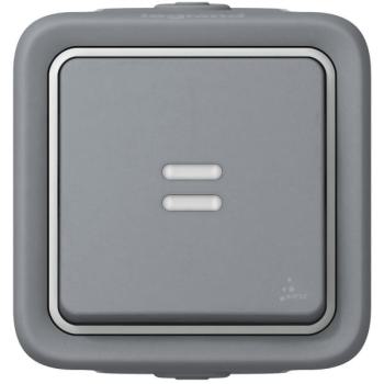  POUS. NO LUMINEUX GRIS SAILLIE 