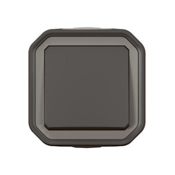  POUSSOIR NO ANTH SAILLIE 