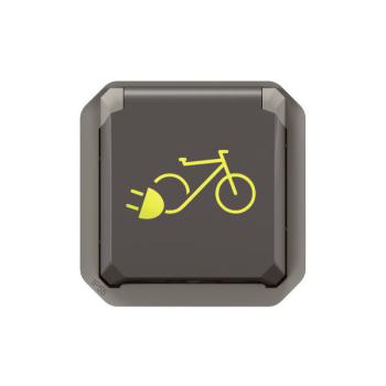  2P+T F/B 2 RO ELEC ANTH COMPO 