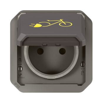  2P+T F/B 2 RO ELEC ANTH COMPO 