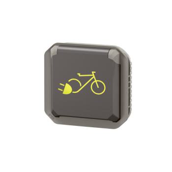  2P+T F/B 2 RO ELEC ANTH COMPO 