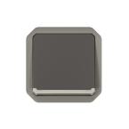  INTER BIPOLAIRE ANTH COMPO 