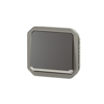  VV 10A LUM ANTH COMPO 