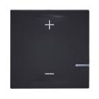  VARIATEUR 2 FILS 125W NOIR 