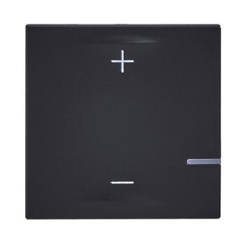  VARIATEUR 2 FILS 125W NOIR 