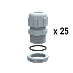  LOT 25 PE RAL 7001 PG 7 