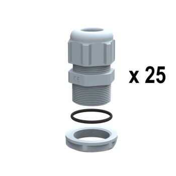  LOT 25 PE RAL 7001 PG 7 