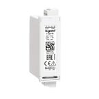  MODULE 2ENTR.NUM 2 SORT.RELAIS 