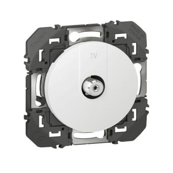  TV TYPE F BLINDEE BLANC 