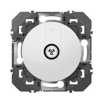  TV MALE ETOILE BLINDEE BLANC 