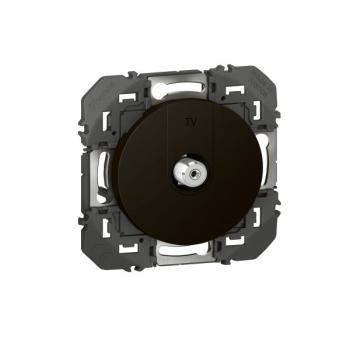  TV TYPE F BLINDEE NOIR 