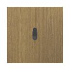  ART ESCBZ POUSSOIR LEV LUM 