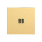  CHARG 2USB A+A 3A 15W ESCOM 