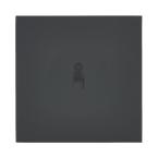  ART ESCNM V/V LUMINEUX 