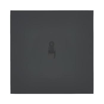  ART ESCNM V/V LUMINEUX 