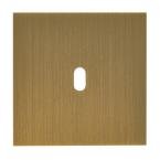  PLQ 1P 1 LEVIER EPURE BRONZE 