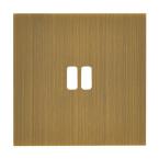  PLAQU 1P POUR USB EPURE BRONZE 