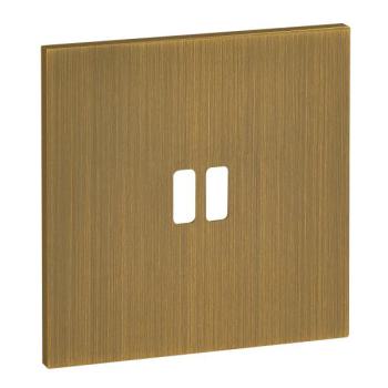  PLAQU 1P POUR USB EPURE BRONZE 